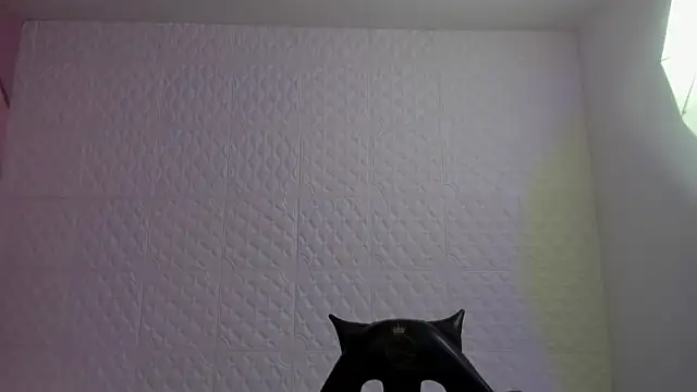 Violetaa diazz online show from 05-04-26, 09:33