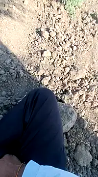 dickerdaddy25 online show from 02-18-25, 04:26