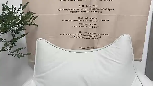 Arrebo1 online show from 12-04-24, 02:37