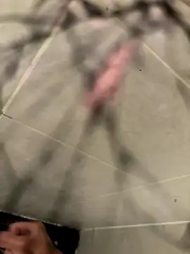 Snapshot of lescro95_ chatting on 12-02-25, 05:41 lescro95 online show from 12-02-25, 05:41