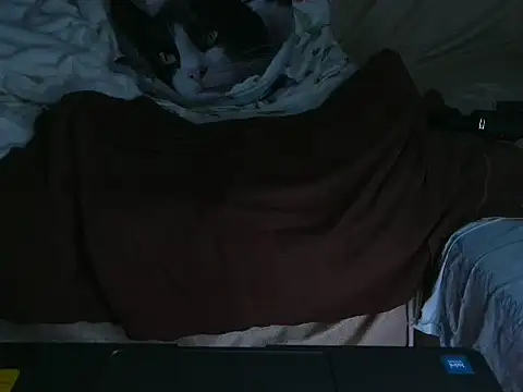 VeneRed online show from 10-04-25, 09:24