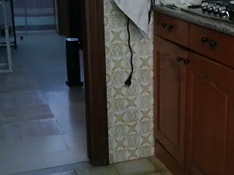 VeneRed online show from 10-13-25, 08:03