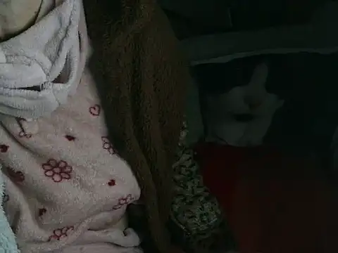 VeneRed online show from 03-16-26, 09:19