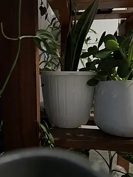 alburt 1996 online show from 12-30-24, 03:13