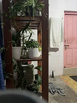 alburt 1996 online show from 01-16-25, 03:02