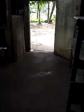 SL ROMESH 04 online show from 02-01-26, 11:53