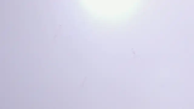 Violet Grace online show from 02-17-25, 06:26