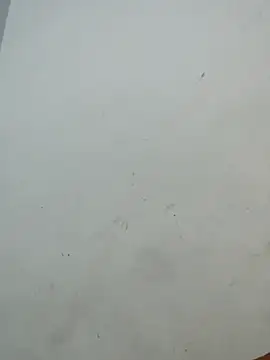 Sania-Love online show from 12-02-25, 11:11