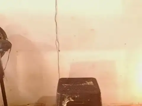 DiablaArdiente05 online show from 04-29-26, 02:43