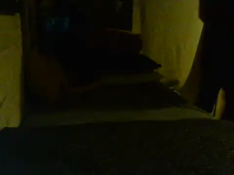 Gman143187 online show from 02-02-25, 09:08