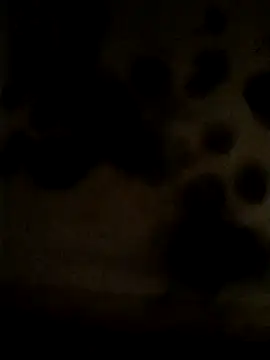 Leocesar37 online show from 05-25-26, 02:23