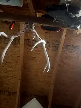 dcockell online show from 10-23-25, 04:01