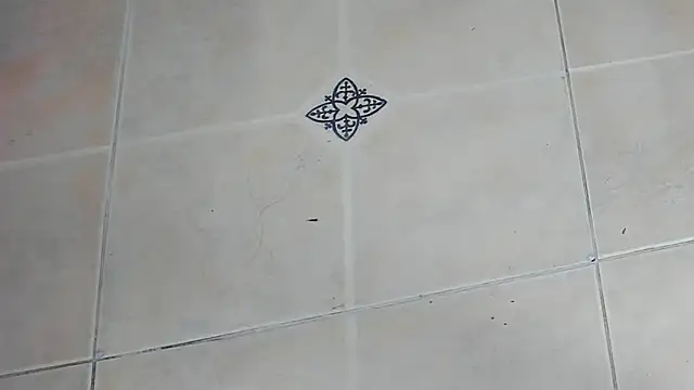 playsgirlhot online show from 02-03-26, 11:15