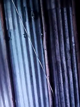 alexander32r online show from 12-02-25, 12:16