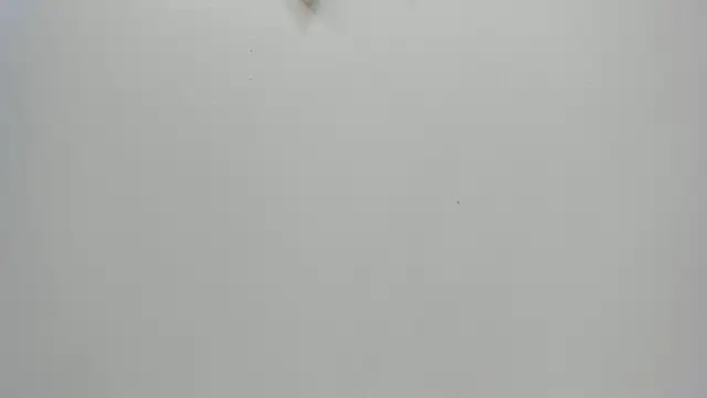 Amy wats0n online show from 01-08-25, 07:03