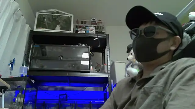 Snapshot of Owl1216 chatting on 12-04-24, 02:37 Owl1216 online show from 12-04-24, 02:37