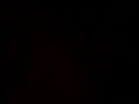 linksjack1010 online show from 02-24-25, 12:41