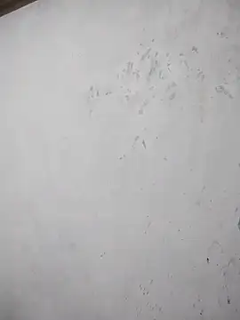 black cobra70 online show from 10-26-25, 12:44