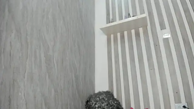 MarieMyller online show from 02-20-25, 09:09
