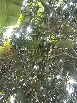 Snapshot of desicockblack chatting on 01-02-25, 04:41 desicockblack online show from 01-02-25, 04:41