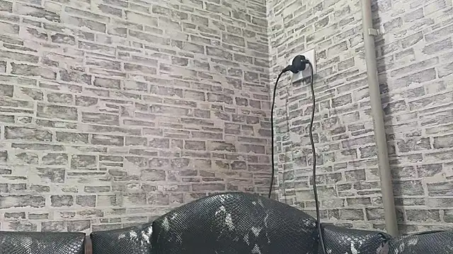 EdithManning online show from 01-18-25, 07:28