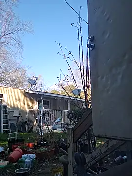 Snapshot of Beyond1978 chatting on 03-10-26, 08:47 Beyond1978 online show from 03-10-26, 08:47