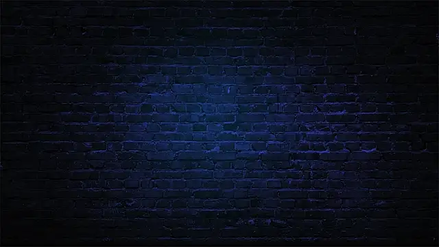 misscassidy  online show from 12-11-24, 05:21