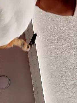 Skylar-Vox- online show from 09-23-25, 01:58