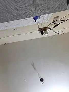 Neha8923 online show from 03-13-25, 01:32