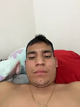 Snapshot of stiven-p23 chatting on 10-01-25, 03:01 stiven-p23 online show from 10-01-25, 03:01