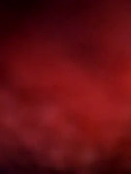 sana14 online show from 12-14-25, 09:52