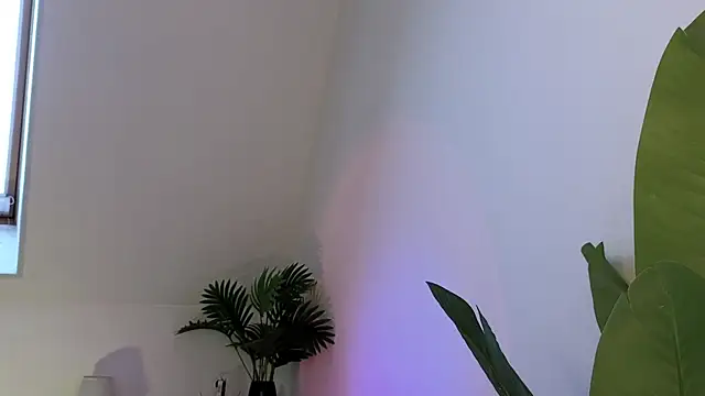 violetviolator online show from 03-15-25, 06:03