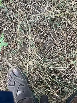 Snapshot of tamil000000 chatting on 03-11-25, 01:37 tamil000000 online show from 03-11-25, 01:37