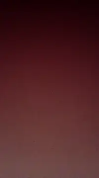 Sexy-Mona2 online show from 12-13-24, 12:06