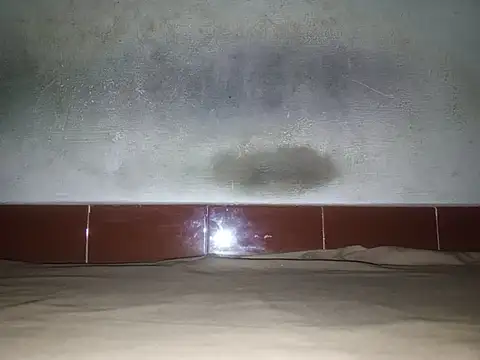 alansteer online show from 01-18-26, 08:23