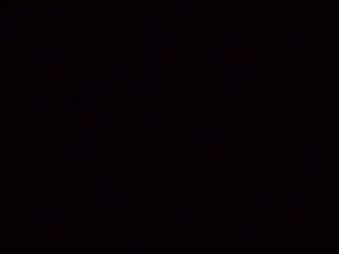 Nailahex online show from 11-05-25, 10:59