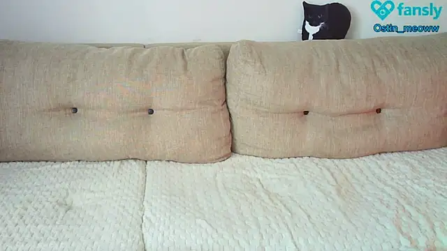 Ostin meow online show from 02-25-25, 08:14