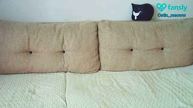 Ostin meow online show from 03-19-25, 06:14