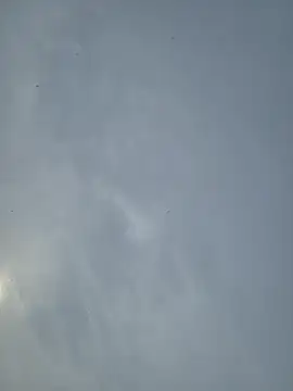 Fuckboy4public online show from 03-12-26, 11:22