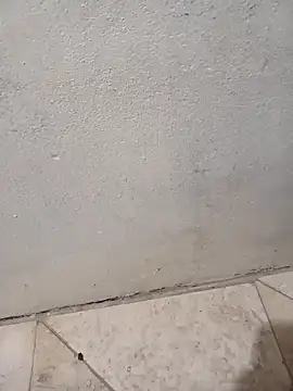 lemon69Reo online show from 02-08-26, 06:39