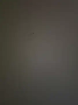 Snapshot of krishking1117 chatting on 12-17-24, 06:45 krishking1117 online show from 12-17-24, 06:45