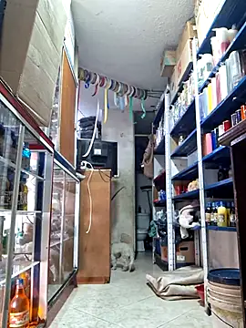 nidia2026 online show from 03-01-25, 06:32