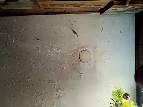 realoneNocap online show from 11-12-25, 05:57