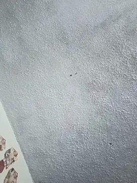 Darly Gomez online show from 01-31-26, 08:07