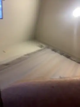 FrankJake99 online show from 11-05-25, 11:49