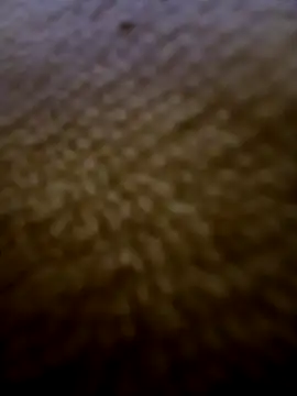 houy111111 online show from 02-03-26, 05:51