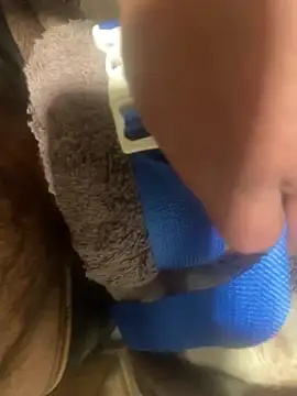 edgher646 online show from 02-11-25, 08:48