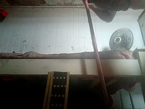 Snapshot of frotasso chatting on 02-14-26, 02:25 frotasso online show from 02-14-26, 02:25