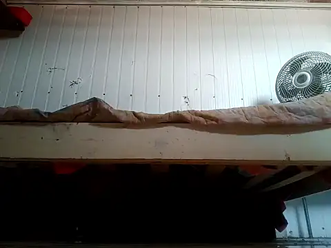 Snapshot of frotasso chatting on 02-20-26, 03:23 frotasso online show from 02-20-26, 03:23