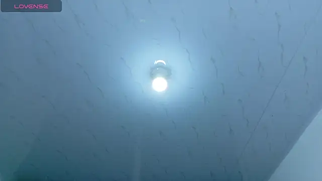 Beautifulkattia online show from 02-14-26, 12:29